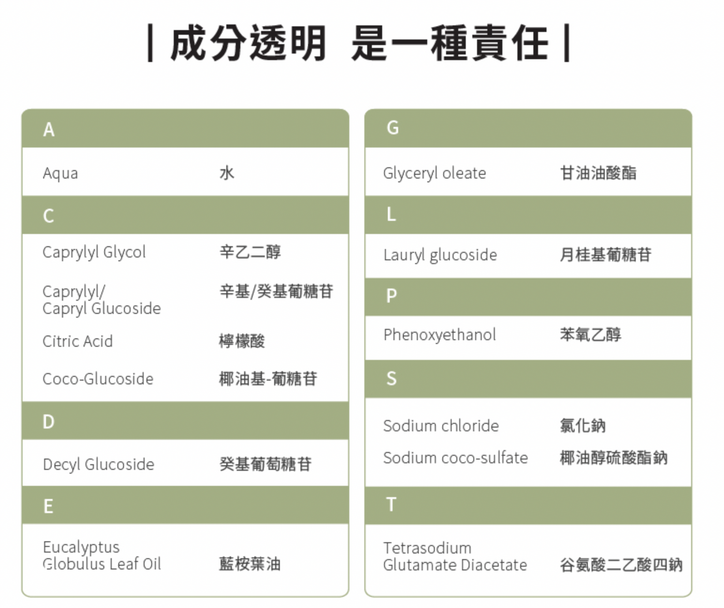 ecostore  環保洗碗精(500ML)-經典檸檬